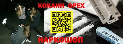 крисы Моздок