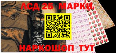 крисы Моздок