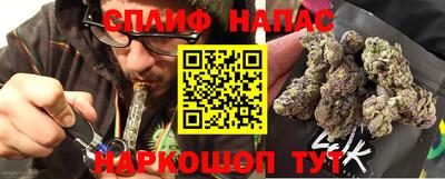 стафф Можга