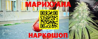 крисы Моздок