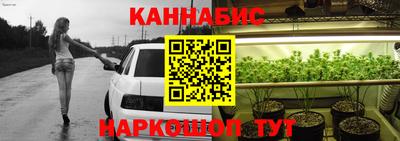 стафф Можга