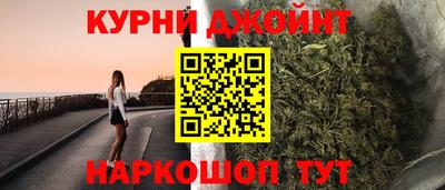 крисы Моздок