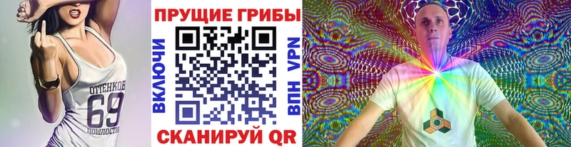 Галлюциногенные грибы GOLDEN TEACHER  Гурьевск 