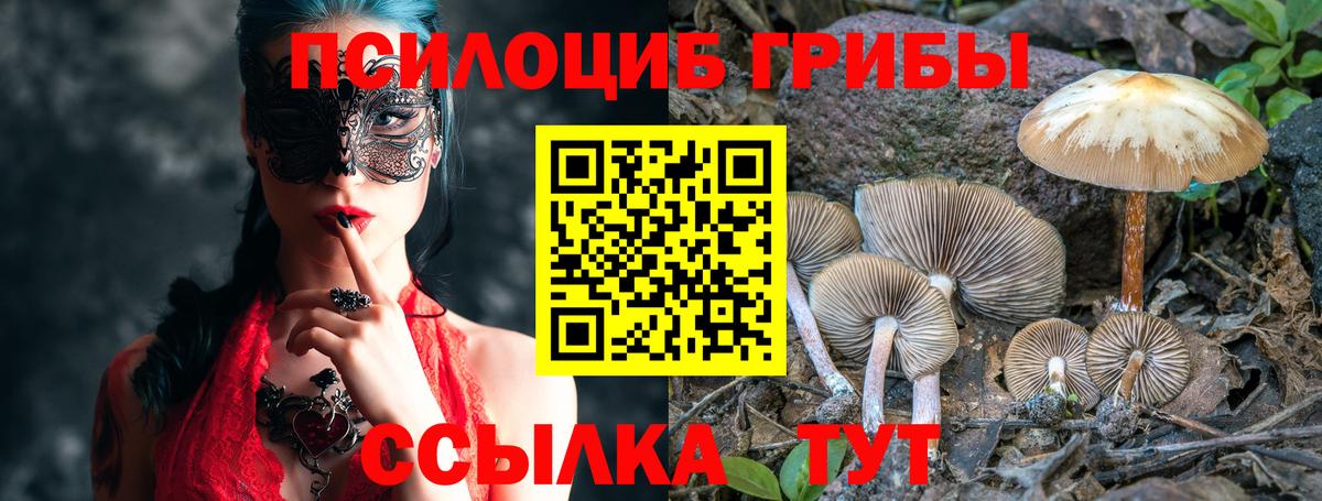 Псилоцибиновые грибы мицелий  Вход с VPN  Гурьевск  Галлюциногенные грибы MAGIC MUSHROOMS 